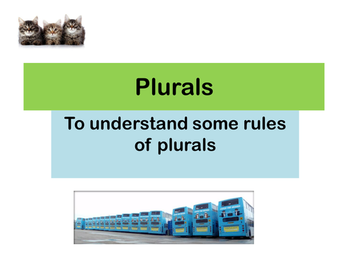Plurals- year 7 starter