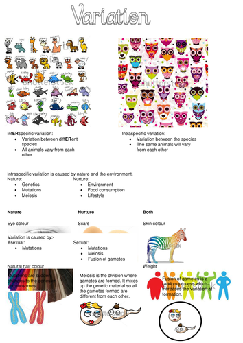 AQA AS Biology Unit 2 Revision Notes