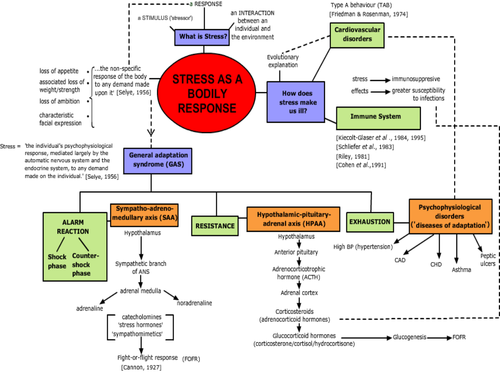 A level psychology notes pdf 9990 picture