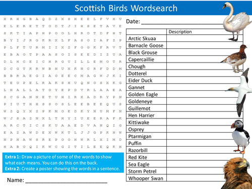 Scottish Birds Wordsearch Animals Wildlife Starter Settler Activity Homework Cover Lesson