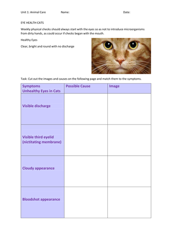 Animal Care Unit 1 Eye health in cats