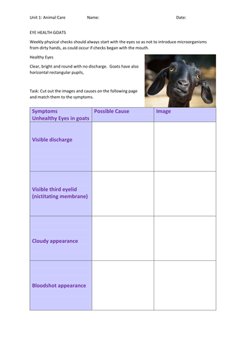 Eye health in goats. Weekly check