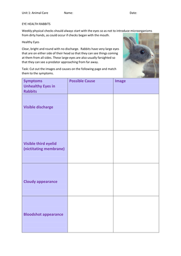 Eye health rabbits Unit 1 BTEC Animal Care