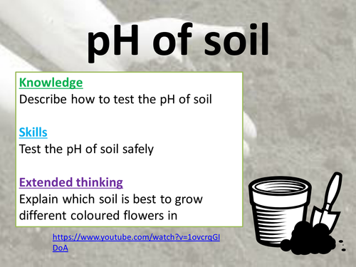 Testing pH of soil