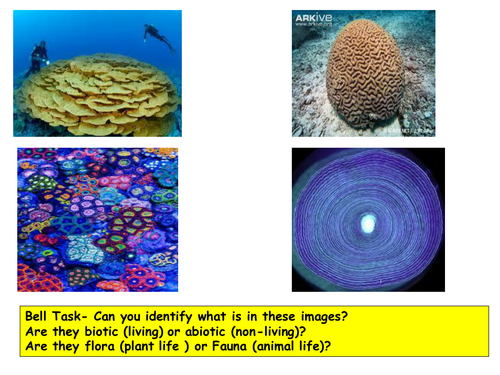Coral reefs The Great barrier Reef GCSE