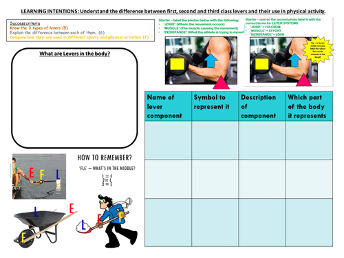 GCSE PE Edexcel (9-1) 2016 specification Lever systems step by step powerpoint and work sheets