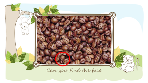 Level 1 Supporting babies to play