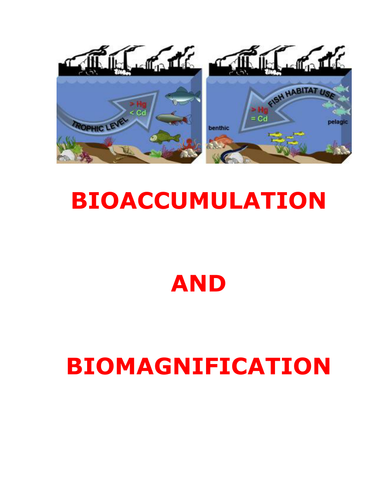 BIOACCUMULATION AND BIOMAGNIFICATION