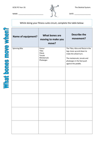 Skeletal System - What bones move when? (Practical)