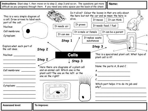 Cells Homework