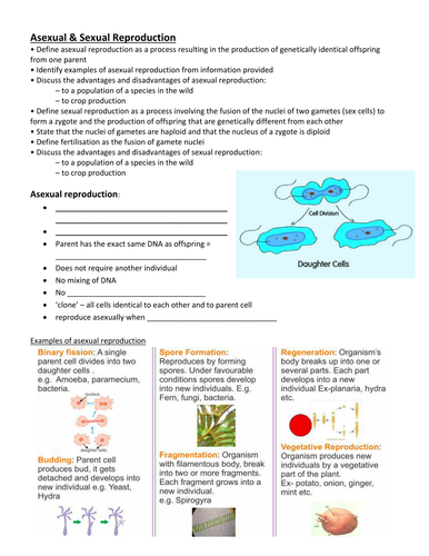 Igcse Biology 16 Sexual Reproduction In Plants And Humans Teaching Resources 3312