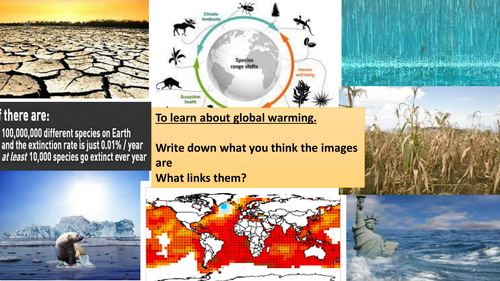 global warming deforestation and peat bogs