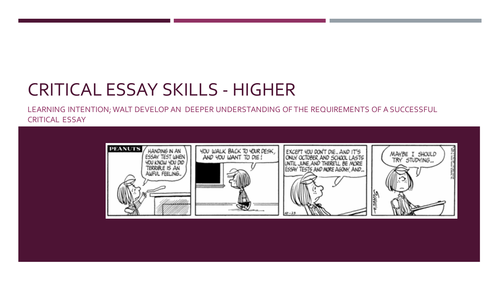 Higher Critical Essay Skills