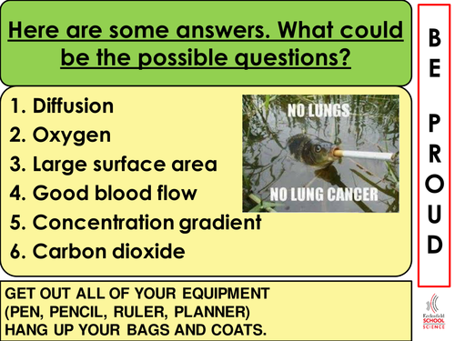 Breathing and Gas Exchange Lesson