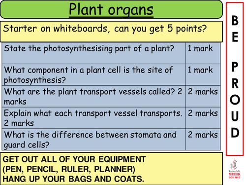 Plant Tissue and Organs Lesson