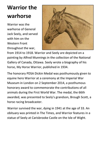 Warrior the warhorse Handout