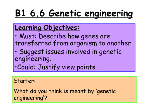New GCSE Variation_ Lesson 4_B2 7.6_aGenetic engineering
