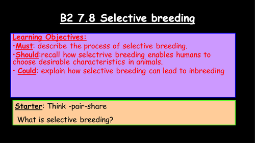 New GCSE Variation_ Lesson 4_B2_Selective Breeding and Antibiotics