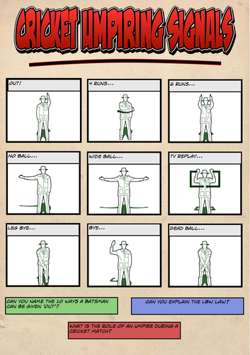 Cricket Umpire Signals
