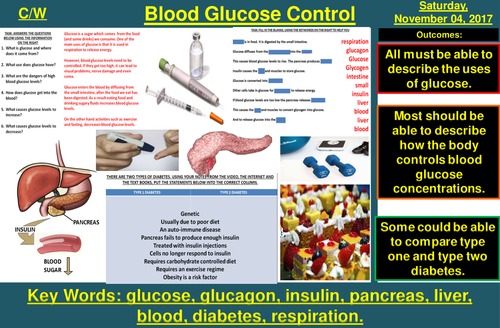 Control of Blood Glucose Concentration | AQA B2 4.5 | New Spec 9-1 (2018)