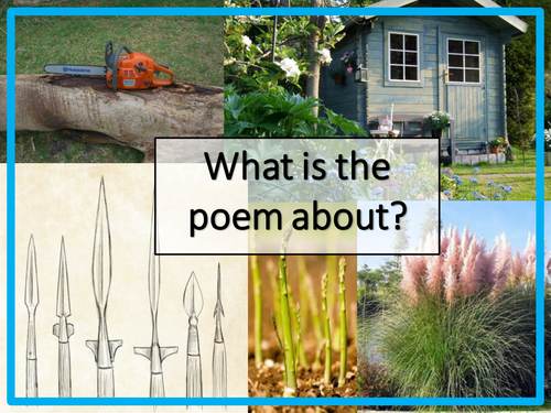 Chainsaw Versus the Pampas Grass - Simon Armitage - Poems of the Decade