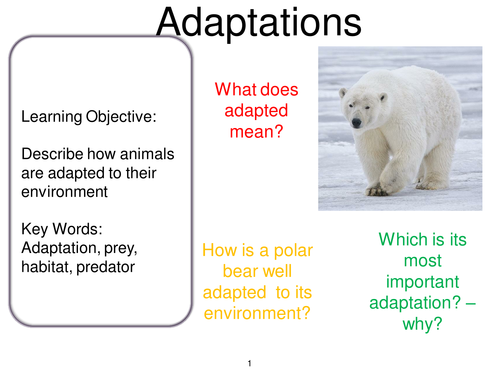 Creating a World - Adaptations