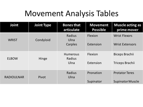 OCR A Level PE Movement Analysis Tables
