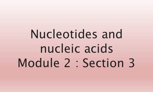 NEW SPEC OCR A AS BIOLOGY Nucleotide and Nucleic Acid