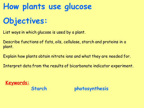 New AQA B4.3 (New Biology GCSE spec 4.4 - exams 2018) – Uses of glucose from photosynthesis