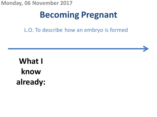 Becoming Pregnant