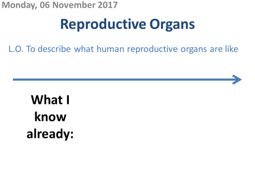 Reproductive Organs