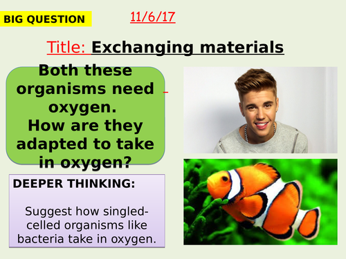 AQA new specification-Exchanging materials-B1.10