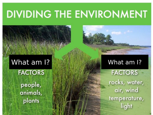 AQA Biology *2017 Spec* Ecology Lesson 3; Factors & Distribution