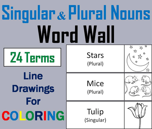 Singular and Plural Nouns Word Wall Cards