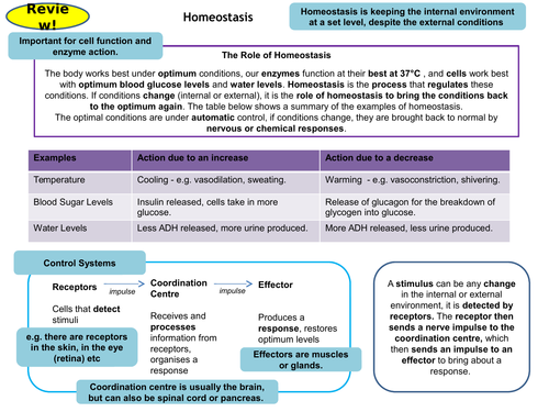 Homeostasis & Response Topic 5, Part 1 Revision Card Activities for New AQA Biology GCSE
