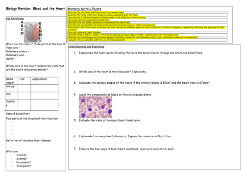 AQA Biology Paper 1 Revision Sheets