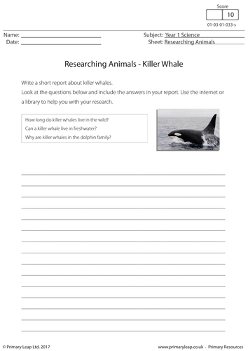 Science Worksheet - Researching Animals: Killer Whale
