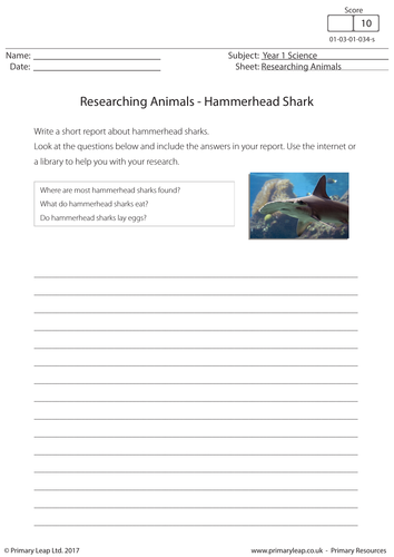 Science Worksheet - Researching Animals: Hammerhead Shark