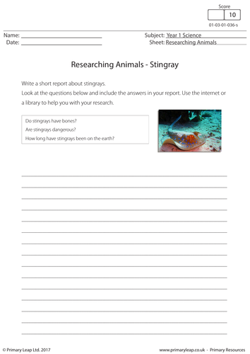 Science Worksheet - Researching Animals: Stingray