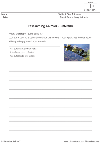 Science Worksheet - Researching Animals: Pufferfish