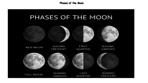 Phases of the Moon - Homework Activity