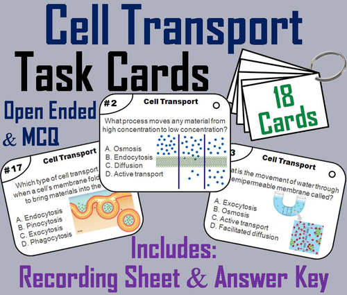 Cell Transport Task Cards