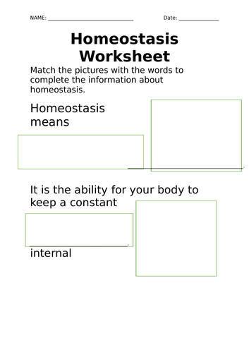 Homeostasis Video and Worksheet for Life Skills