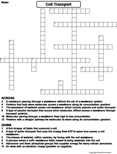 Passive and Active Cell Transport Crossword Puzzle