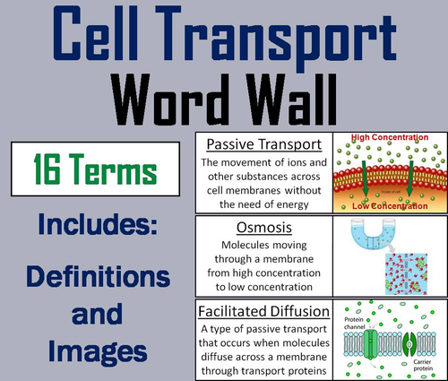 Passive and Active Cell Transport Word Wall Cards
