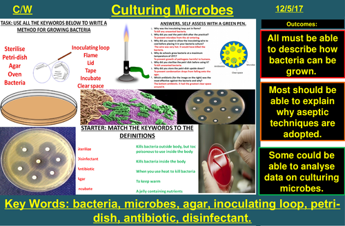 Culturing Microbes (Required Practical) | AQA B1 4.1 | New Spec 9-1 (2018)