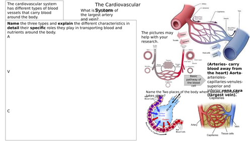 AQA GCSE PE 2016 GRADES 9-1 Blood vessels and gaseous exchange