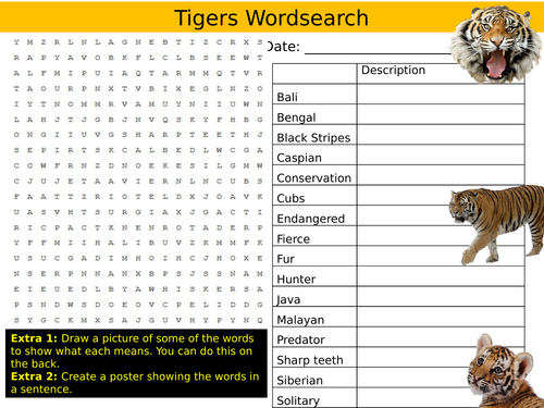 The Tiger Wordsearch Animal Wildlife Nature Starter Settler Activity Homework Cover Lesson