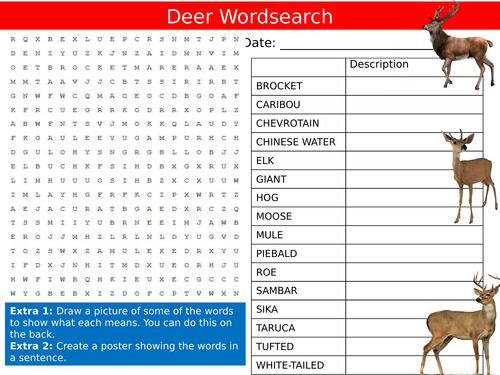 Deer Animals Wordsearch Nature & Wildlife  Starter Settler Activity Homework Cover Lesson