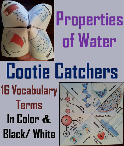 Properties of Water Cootie Catchers